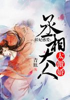 妖妃惑愛：丞相大人太傲嬌在線閱讀