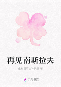 再見南斯拉夫