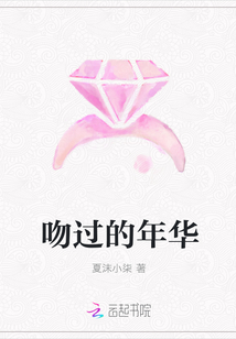 吻過的年華