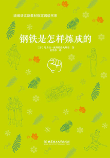 鋼鐵是怎樣煉成的