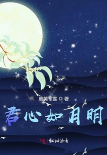 君心如月明