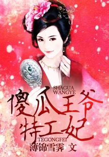 傻瓜王爺特工妃