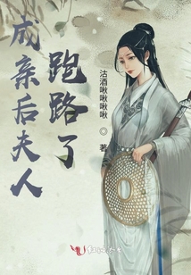成親后夫人跑路了