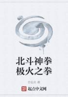 北斗神拳之开局碾压拉欧在线阅读
