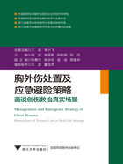 胸外伤处置及应急避险策略：画说创伤救治真实场景在线阅读