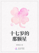 十七歲的那顆星在線閱讀