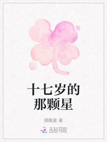 十七歲的那顆星