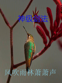 神級劍法