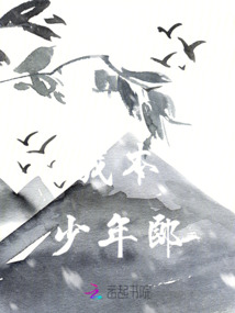 我本少年郎