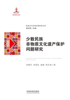 少数民族非物质文化遗产保护问题研究在线阅读