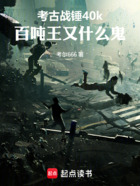 考古战锤40k,百吨王又什么鬼在线阅读
