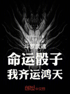 斗罗:武魂命运骰子,我齐运鸿天在线阅读