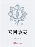 天网破灵在线阅读