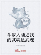 斗罗大陆之我的武魂是武魂在线阅读