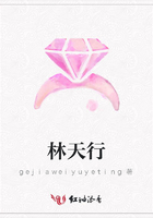 林天行在線閱讀
