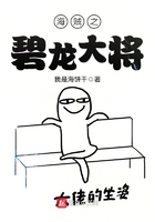 海贼之碧龙大将在线阅读
