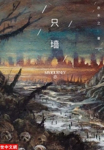 只墻