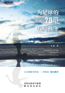 為足球的20個春夏秋冬