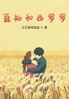 真知和西罗罗