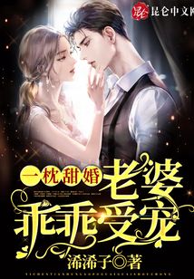 一枕甜婚:老婆,乖乖受寵