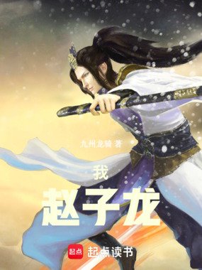 我，赵子龙在线阅读