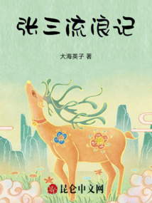 張三流浪記