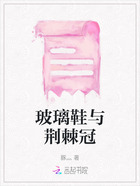 玻璃鞋与荆棘冠在线阅读