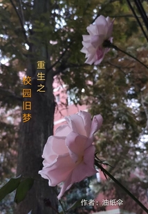 校園舊夢