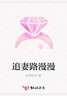 追妻路漫漫