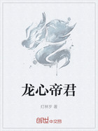 龙心帝君在线阅读