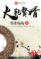 大乾贅婿在線閱讀