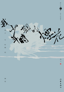 我少年时期的烟花：海飞自选集