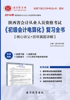 陕西省会计从业人员资格考试《初级会计电算化》复习全书【核心讲义＋历年真题详解】