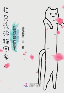 撿只流浪貓回家，它居然是貓殿下