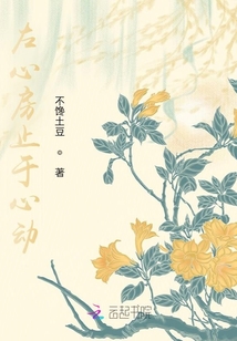 左心房止于心動