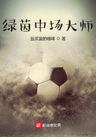 綠茵中場大師在線閱讀