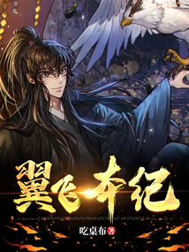 翼飞本纪 cover