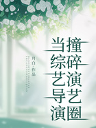 當綜藝導演撞碎演藝圈在線閱讀