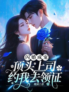 闪婚成宠，顶头上司约我去领证在线阅读