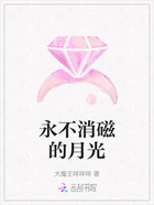 永不消磁的月光在线阅读