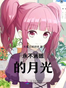 永不消磁的月光