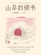 山茶的情书在线阅读