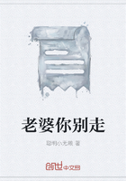 老婆你別走在線閱讀
