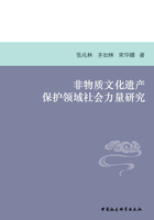 非物质文化遗产保护领域社会力量研究