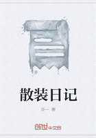散装日记