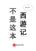 不是這本西游記在線閱讀