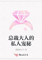 總裁大人的私人寵秘在線閱讀