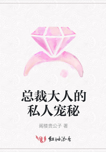 總裁大人的私人寵秘