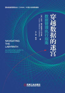 穿越數據的迷宮：數據管理執行指南