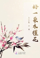 好一朵木槿花